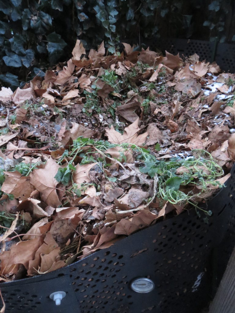 compost-hole